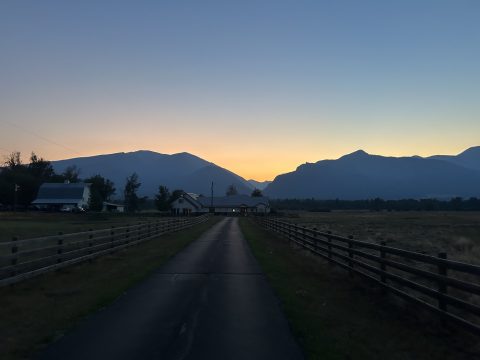 IMG_8067.jpeg