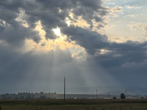 IMG_8128.jpeg